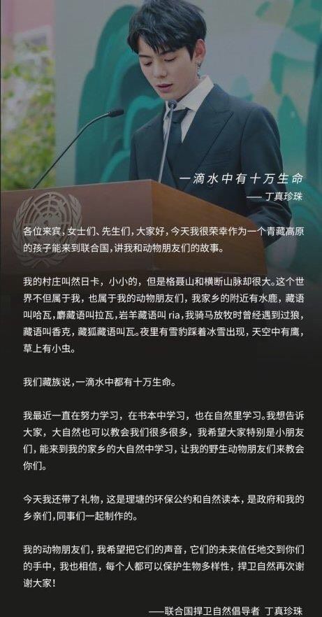 丁真联合国演讲不怯场穿西服的丁真竟然如此英(图3) 丁真联合国演讲