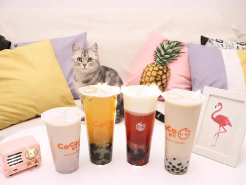 奶茶店还有假？超21家假coco奶茶店被罚