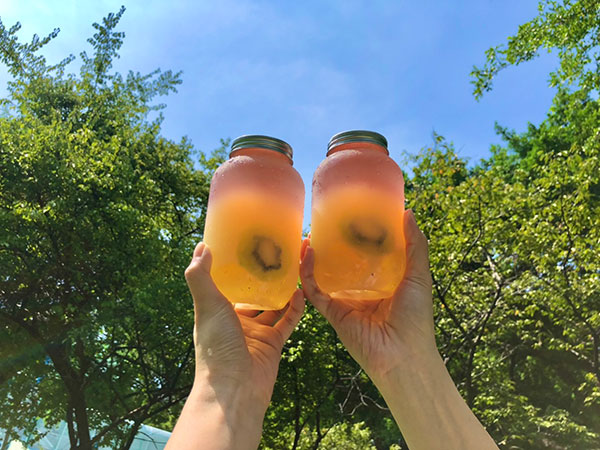 CoCo奇异森林(图2) CoCo奇异森林(图2)