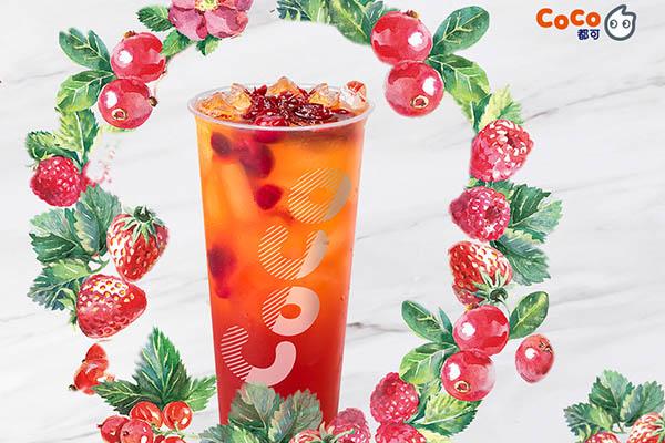 广西coco奶茶店加盟费多少?当地加盟商投资仅需10万元(图2) 广西coco奶茶店加盟费多少?当地加盟商投资仅需10万元(图2)
