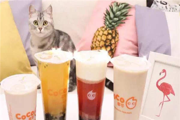 coco奶茶店连锁加盟多少钱？17万元就可以加盟国际品牌！