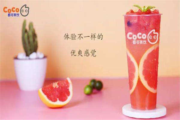 怎么才能获得coco奶茶配方?大品牌还是有着一定门槛的(图1) 怎么才能获得coco奶茶配方?大品牌还是有着一定门槛的(图1)