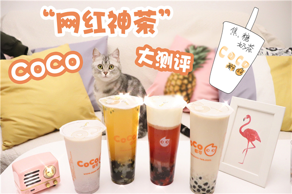 coco奶茶加盟费用多少?想要不花冤枉钱,就要了解清楚每笔投资(图2) coco奶茶加盟费用多少?想要不花冤枉钱,就要了解清楚每笔投资(图2)